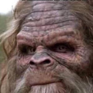 Meet your Posher, Chad